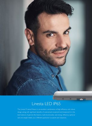 Linesta X2 Supervision External Surface Luminaires Techtouch Unidirectional Fitting Linesta X2 Supervision External Surface Luminaires Techtouch Unidirectional Fitting